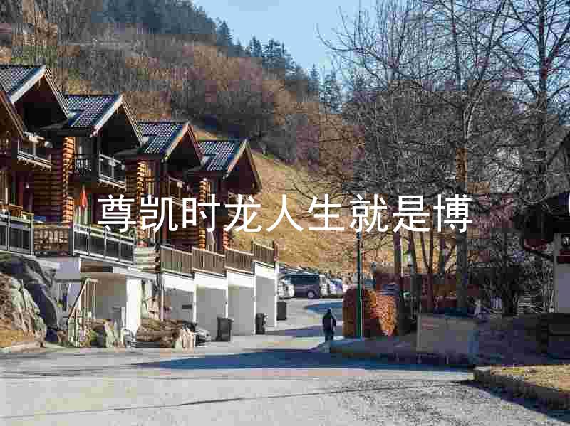 尊凯时龙人生就是博