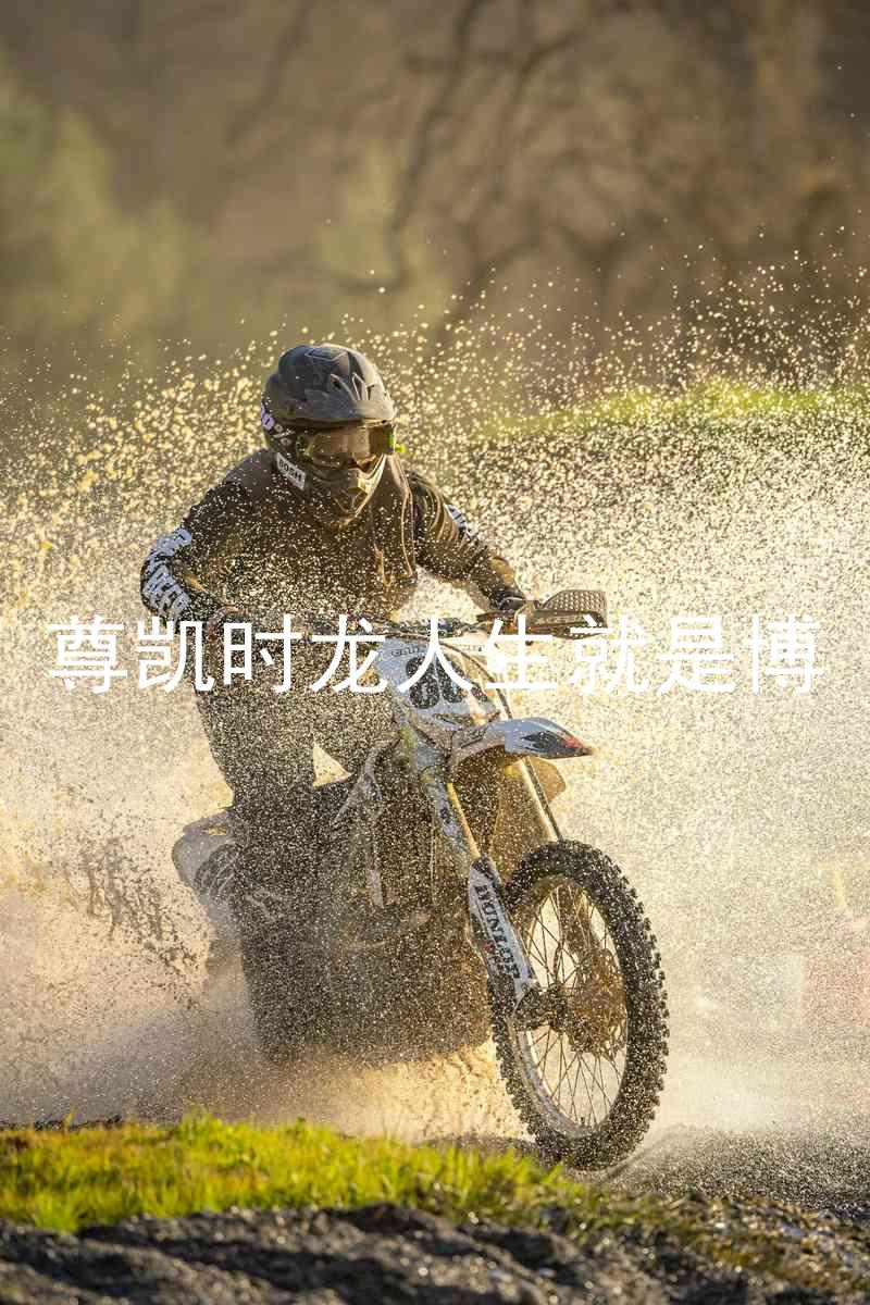 尊凯时龙人生就是博