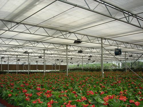 花卉生产区