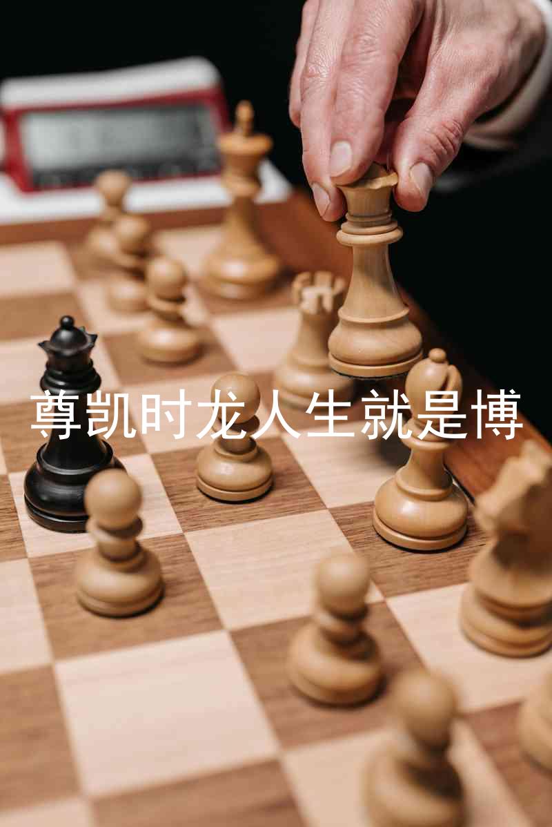 尊凯时龙人生就是博