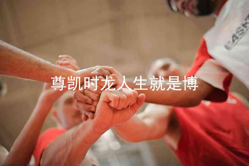 尊凯时龙人生就是博