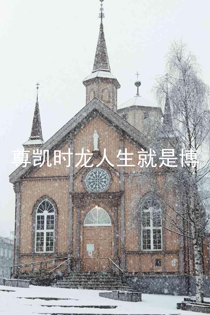 尊凯时龙人生就是博